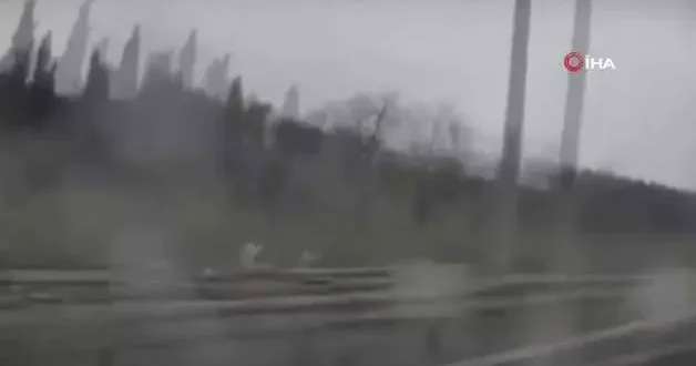 Tesla otopilot modundayken trafiği altüst etti