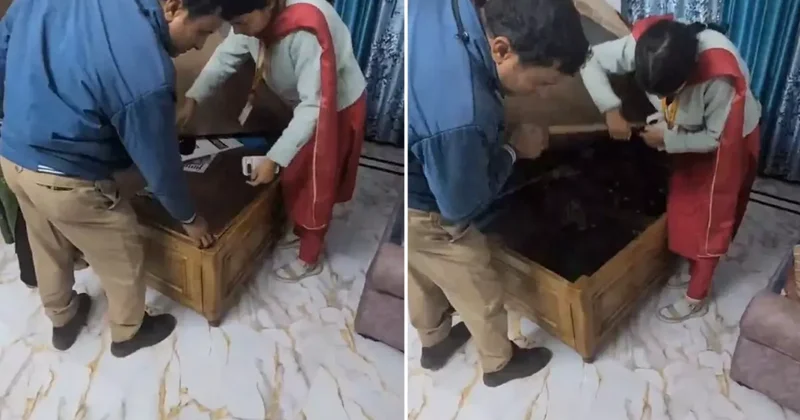 Divanın altından dram çıktı: Kapağı açan yetkililer...