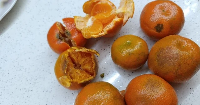 Pazardan aldığı 2 kilo mandalinanın yarısı çürük çıktı Eskişehir Haberleri