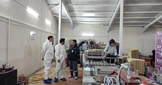 Çavdarhisar da ticari yumurtacı kanatlı işletmesinde inceleme Kütahya Haberleri