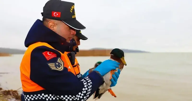 Bursa da kaçak avcılara ceza yağdı Bursa Haberleri