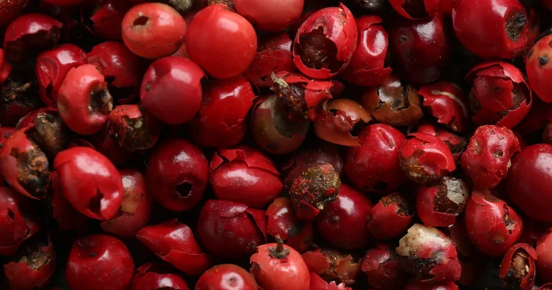 Portakal ya da mandalina değil bir avucu 20 kat C vitamini deposu Sözcü Gazetesi