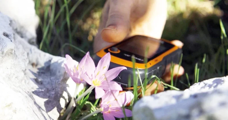 GPS’le izleniyorlar... Orkide alarmı