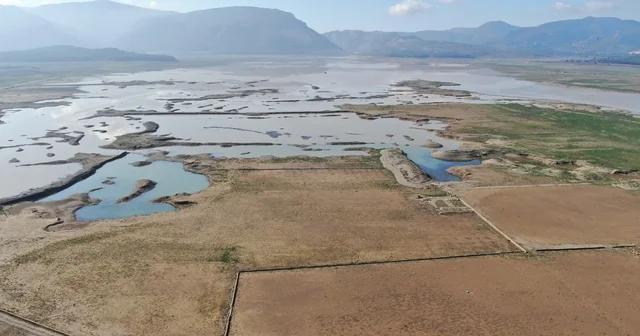 İzmir de rekor yağışlar barajlara can suyu oldu Kuraklık nedeniyle hayvanların otladığı baraj yatağındaki değişim dron ile görüntülendi İzmir Haberleri