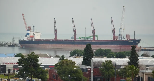 Samsun gümrüğünden en çok meyve ihraç edildi, motorin ithal edildi Samsun Haberleri