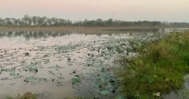 Hayranı olduğu şarkıcı sonu oldu! Pozunu taklit ederken feci şekilde can verdi Sözcü Gazetesi