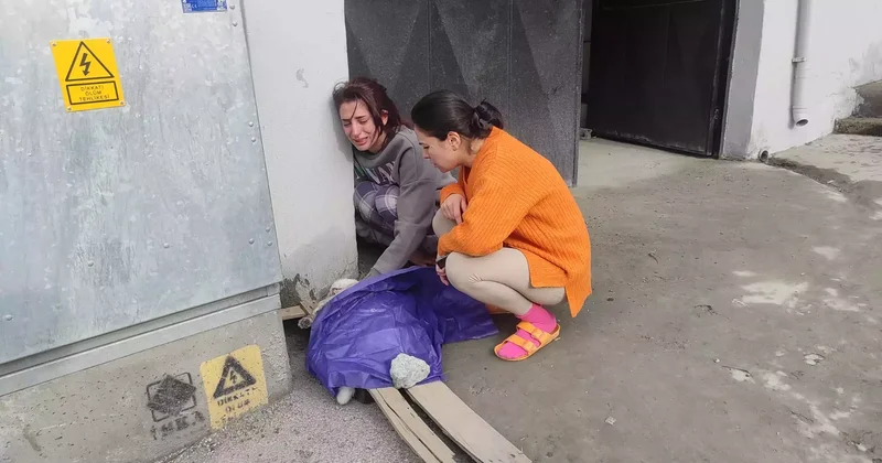 Beyoğlu’nda yangın sırasında dairede mahsur kalan kedi Sütlaç için zamanla yarış