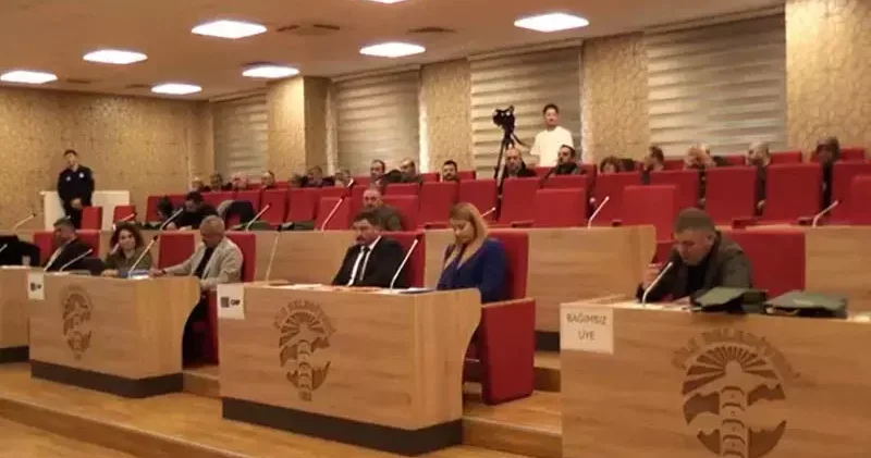 Şile Belediye Meclisi nde barınak tartışması: Sokakta hayvan kalmadı ki veterinerlik olarak hepsini öldürdük