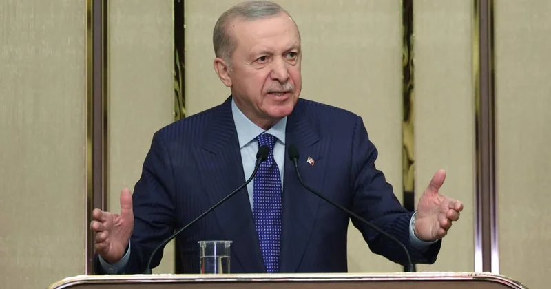 Cumhurbaşkanı Erdoğan: NATO ile birlikte gerekli müdahaleleri yapıyoruz