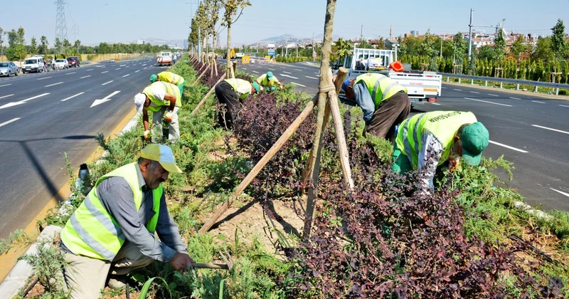 Yol kenarlarından toplanıyor, devlet tonlarcasını satışa çıkardı: Kilosu 20 TL Sözcü Gazetesi