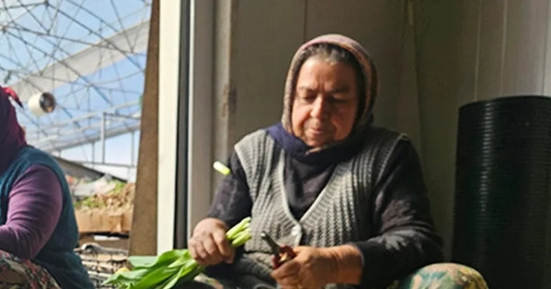 Türkiye de bir ilk! Yılda sadece iki güne özel suda üretiliyor Sözcü Gazetesi