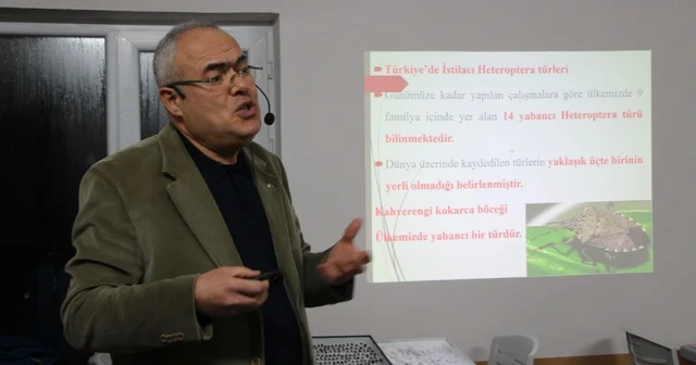 Uzmanı kahverengi kokarca için tarih verdi: 2030 yılından itibaren gündemden çıkmaya başlayacak Amasya Haberleri