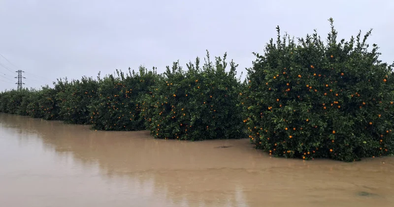 Yeni normal: 1 sene kurak, 1 sene aşırı yağış! Son dakika haberleri