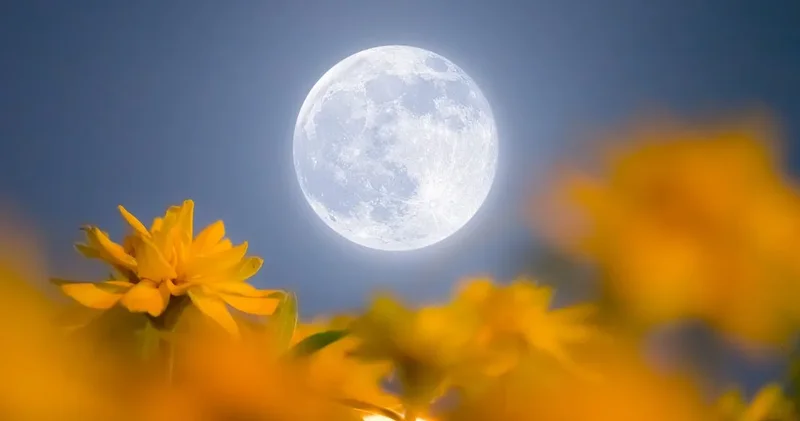 Dolunay da trafik kazaları gerçekten artıyor mu?!