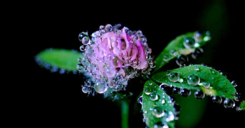 Cemre düşmesi tarihleri 2026: Üçüncü cemre ne zaman ve nereye düşecek?