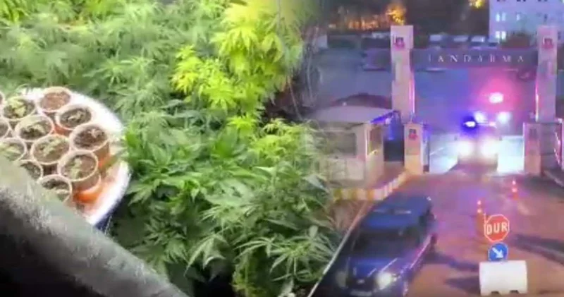 Burdur’da uyuşturucu operasyonunda 1 tutuklama!