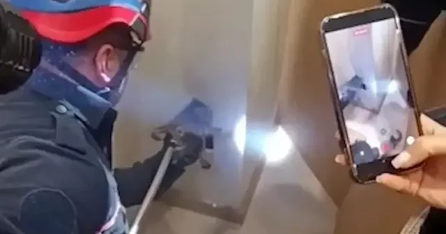 Adana’da bacaya sıkışan kedi itfaiye ekiplerince kurtarıldı VİDEO İZLE