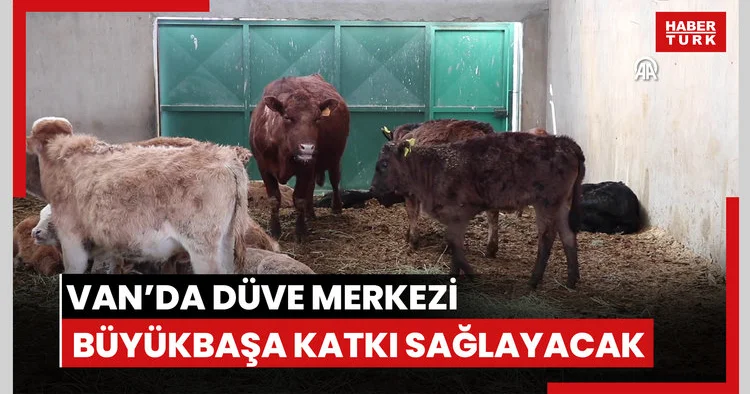 Van’da Düve Merkezi büyükbaşa katkı sağlayacak
