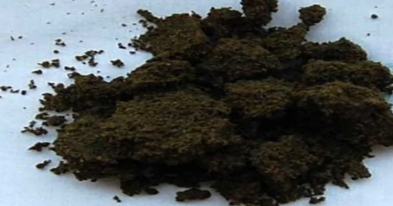 Bir tanesi çok sayıda sigaraya bedel Sözcü Gazetesi