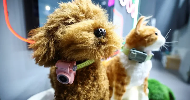 Evcil hayvanlar için akıllı telefon geliştirildi! Artık patili dostunuz sizi arayabilecek