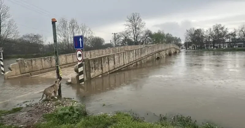 Meriç ve Tunca nehirler için sarı alarm verildi