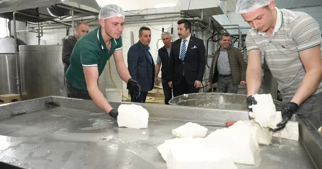 Her gün 3,5 ton sütten 12 çeşit peynir üretiyorlar Bursa Haberleri