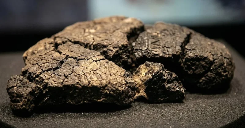 Eskişehir de bulunan binlerce yıllık ekmeğin sırrı ortaya çıktı Sözcü Gazetesi