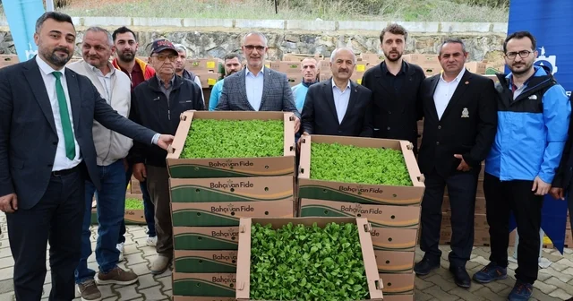 İşlenmeyen araziler üretime dönüyor: Çiftçilere yüzde 75 hibeli fide desteği Kocaeli Haberleri