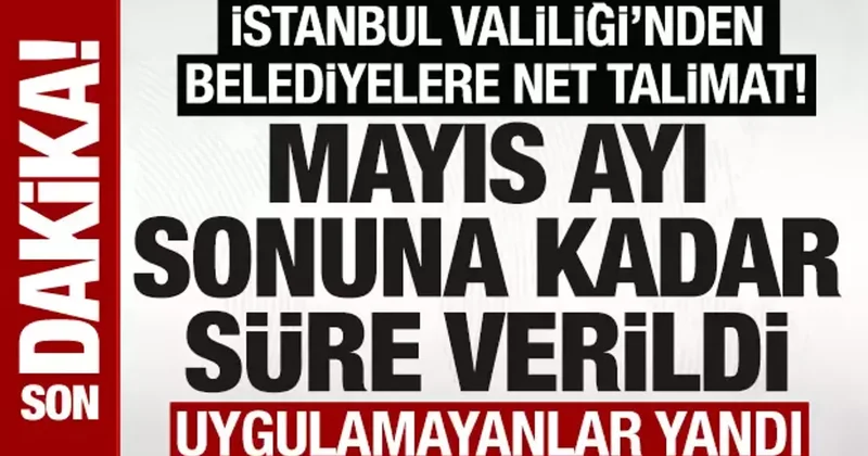 İstanbul Valiliği’nden belediyelere köpek talimatı: Mayıs ayı sonuna kadar süre verildi