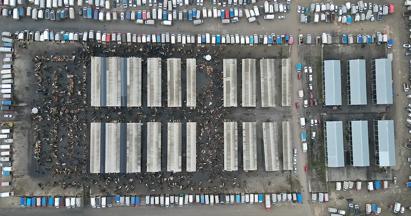 Kurban öncesi hayvan pazarında hareketlilik başladı Sözcü Gazetesi