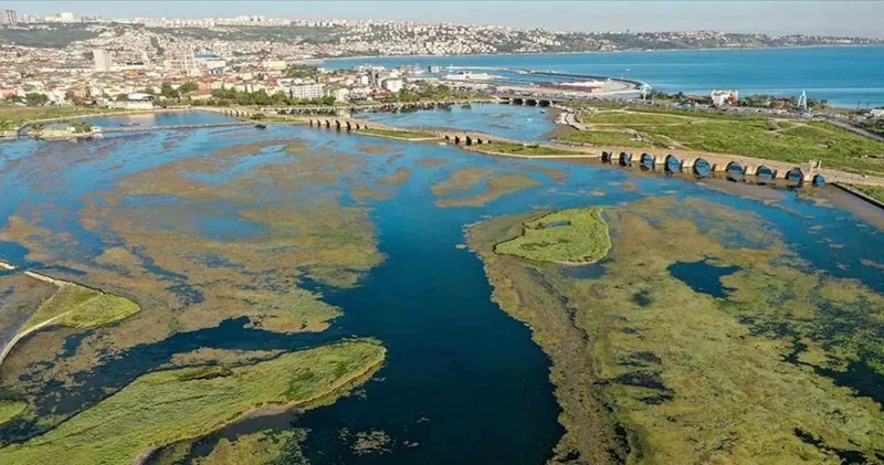 Büyükçekmece Gölü nde su çekilince balıklar karada kaldı