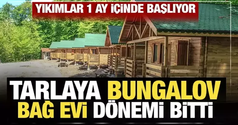 Tarlaya bungalov bağ evi dönemi bitti: Yıkımlar 1 ay içinde başlıyor