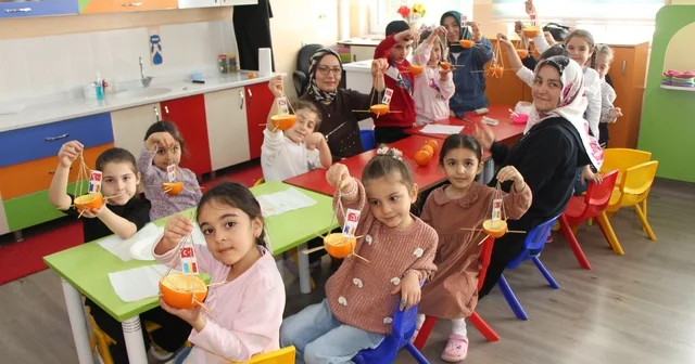 Ana sınıfında portakallar kuşlar için yemlik ve yuvaya dönüştü Amasya Haberleri