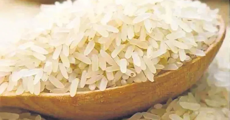 İDİL AÇIKALIN Pirincin tarihçesi