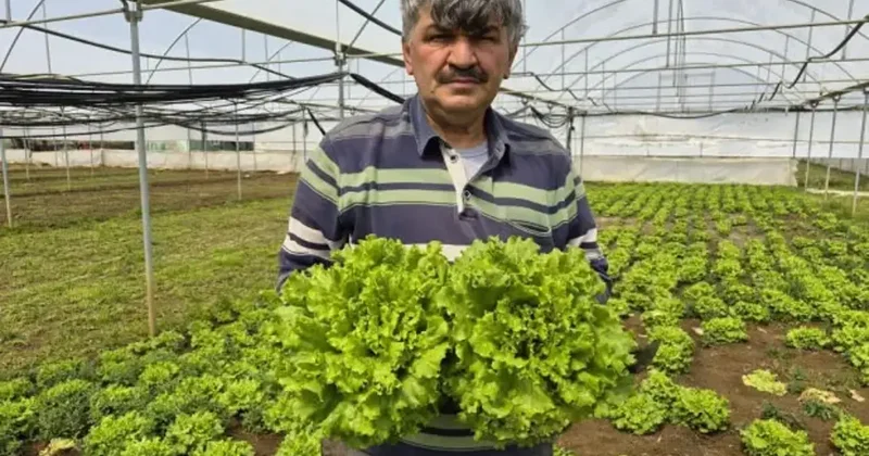 Tarlada 15, tezgahta 100 TL! Fiyatlardaki aracı vurgununa isyan