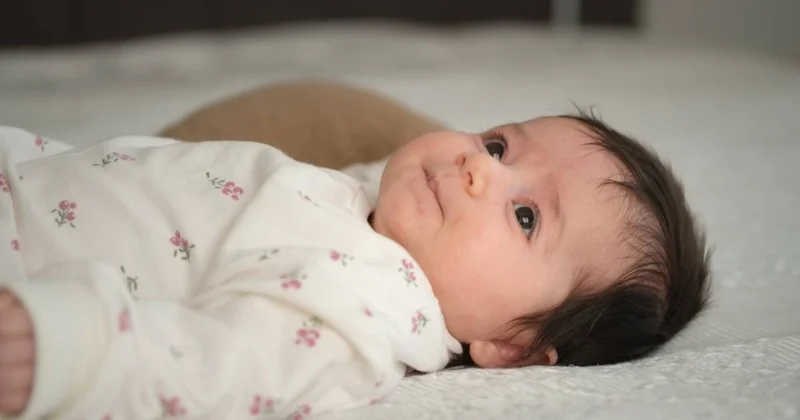 Türkiye’nin il il isim haritası açıklandı: Zeynep tahtını kaybetti, zirvedeki isim şaşırttı Sözcü Gazetesi