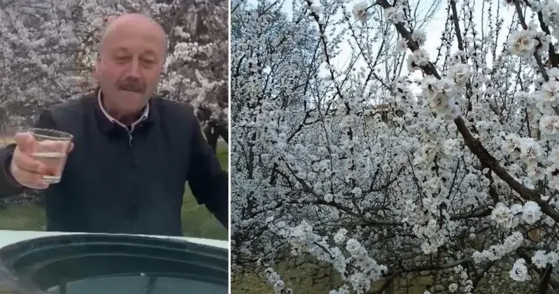 Kayısı bahçelerinde zemzem ve duayla ilaçlama Malatya Haberleri