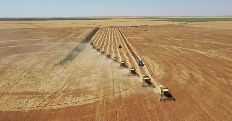 Arazi sahipleri dikkat! Bakanlık duyurdu: Tüm araziler için yeni kullanım planı geliyor!