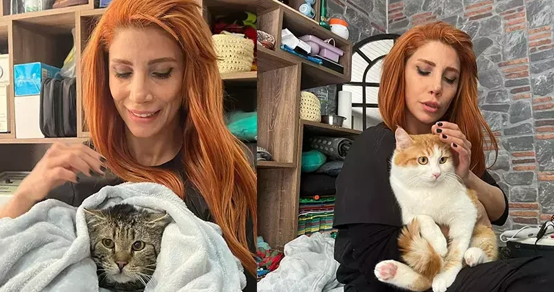 Engelli 3 kedi, veterinerde fizik tedaviyle yürümeye başladı