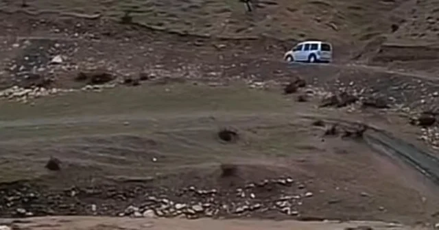 Siirt te sağanak yağış hayvancılığı olumsuz etkiledi Siirt Haberleri