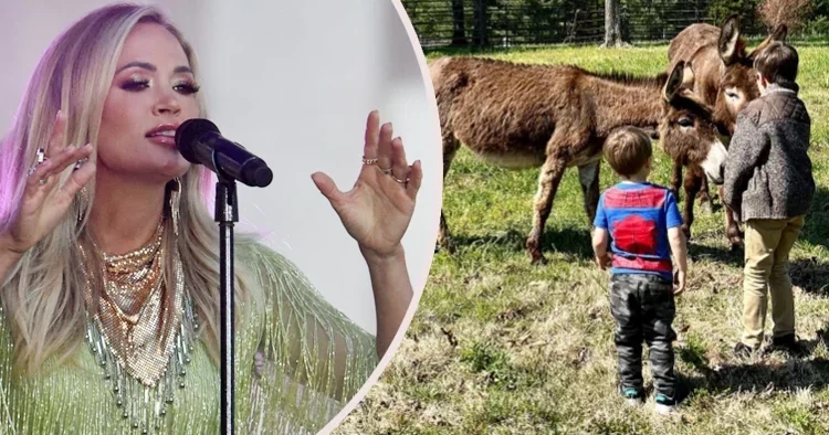 Bir ses yarışmasıyla prıl pırıl parlamıştı: Çocuklarım beni üstü başı kir pas içinde yemek yapan bir anne olarak hatırlasın!