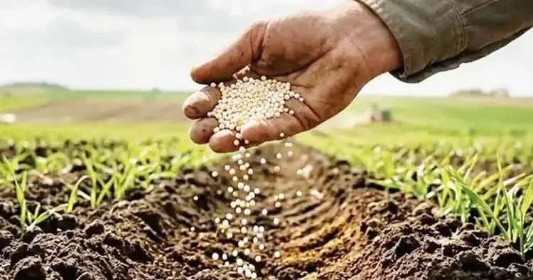 Gübre ithalatına savaş ayarı