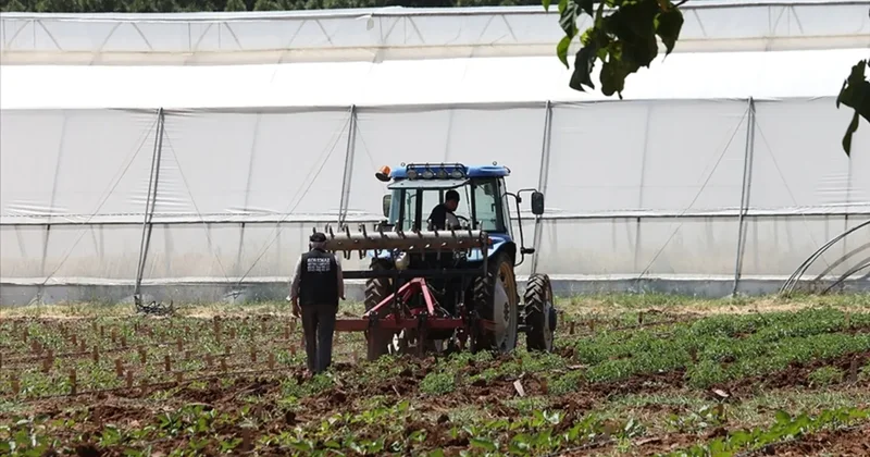 Orta Doğu gerilimi tarımda fiyatları yükseltiyor: Çiftçiler alternatiflere yöneliyor, AB destek paketleri hazırlıyor