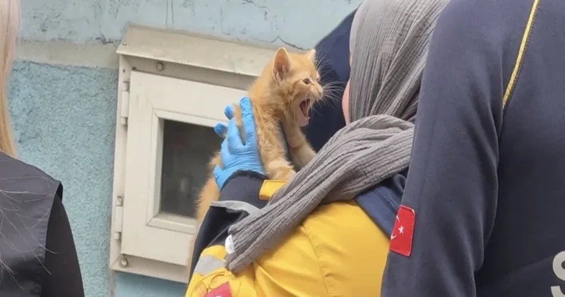 Kağıthane de korkutan yangın! Dumanların arasından yavru kedi çıktı