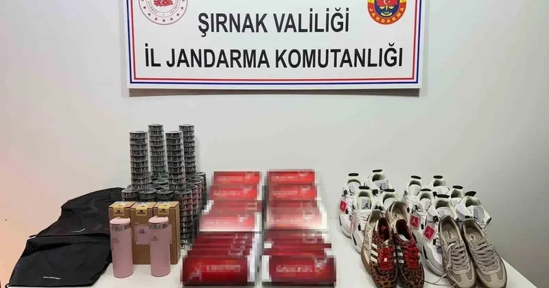 Şırnak’ta jandarmadan 18 milyon kaçakçılık operasyonu