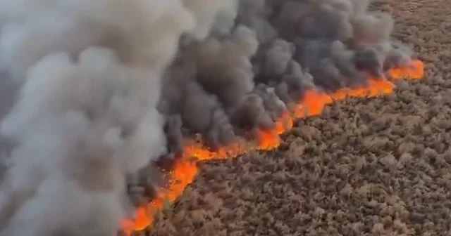 Arizona alevlere teslim: 2 bin 200 dönüm alan küle döndü VİDEO İZLE