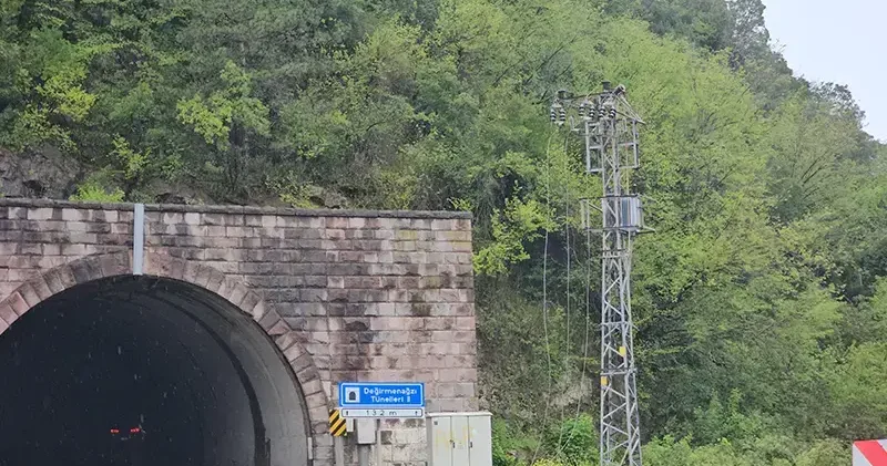 Heyelan nedeniyle kopan kaya ve dal parçaları elektrik hattını kopardı