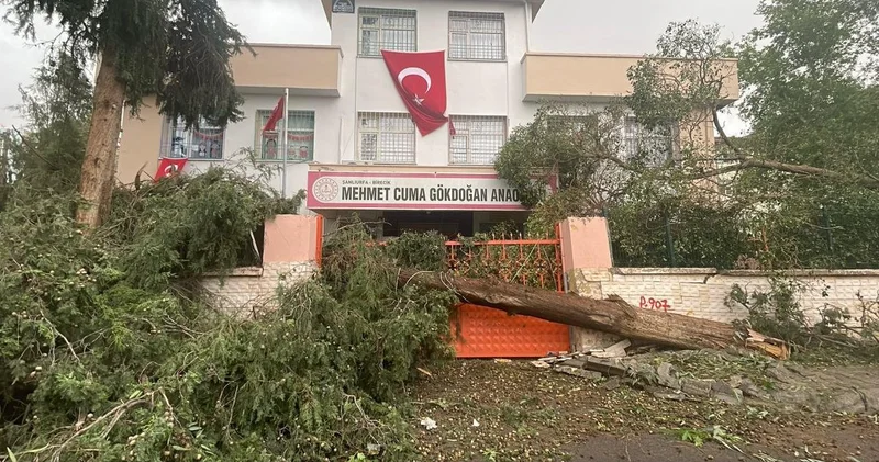 Şanlıurfa nın iki ilçesinde okullar tatil edildi