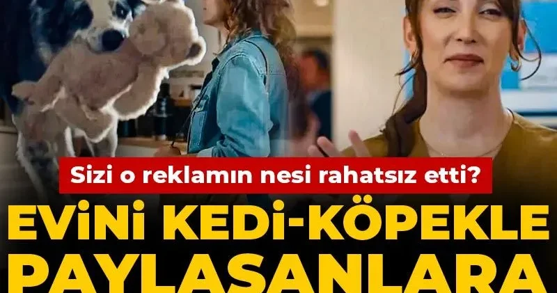 Evini kedi köpekle paylaşanlara iktidar müdahalesi: Sizi o reklamın nesi rahatsız etti?