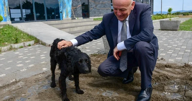 Terme de sevgi ve merhamet projesi Samsun Haberleri